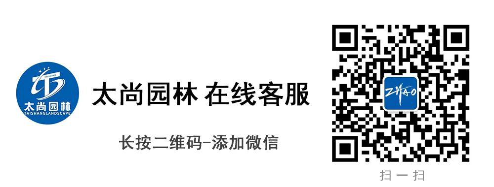 球盟会·(中国)-官方网站